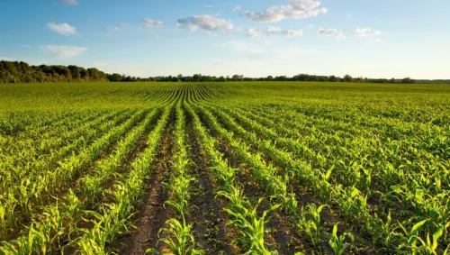 imgi_63_agricultura-resiliente-cambio-climatico-829.jpg