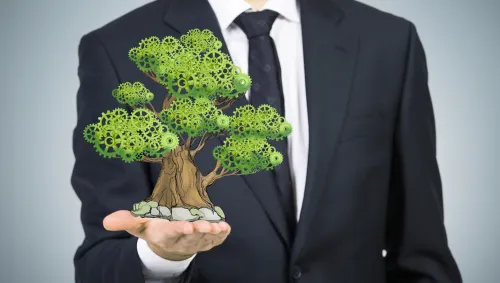 imgi_67_5-razones-por-las-que-tu-empresa-necesita-un-sistema-de-gestion-ambiental-0.jpg