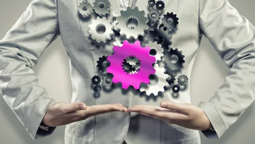 qué es organización industrial